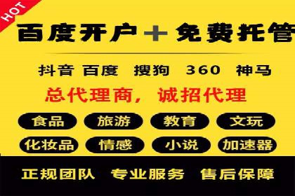 竞价SEM托管案例：精准营销的利器